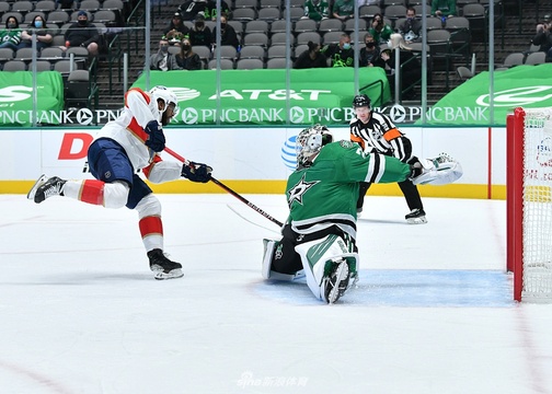 [NHL常规赛]达拉斯星Vs佛罗里达美洲豹(2) 第2页