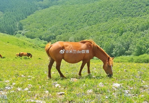 驰骋在京北第一天路 第1页