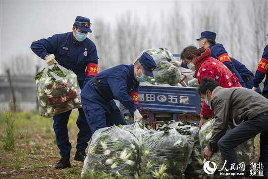 湖北襄阳:消防救援队伍服务防疫一线 第1页