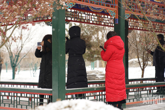 北京降雪节后“开工” 雪中京城银装素裹(6) 第6页