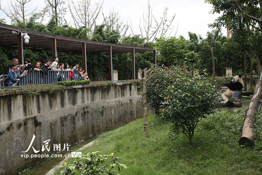 湖北荆州:乐享国庆假期 品读荆风楚韵(19) 第19页