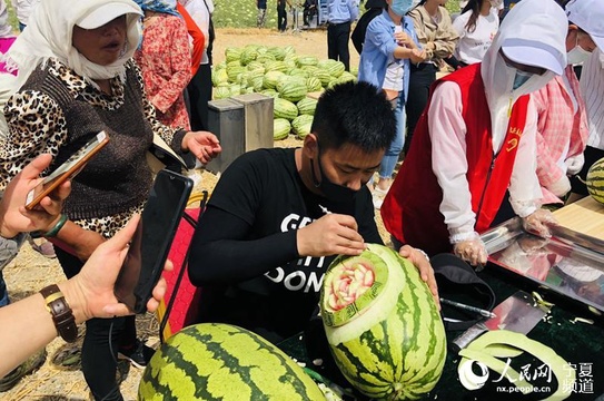 中卫市功能农产品云发布会今日启动 第1页