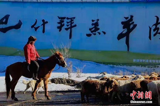 新疆裕民县30万只(头)牲畜开启春季转场(2) 第2页
