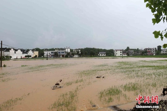 江西武宁普降暴雨 低洼地段积水农田被淹(6) 第6页