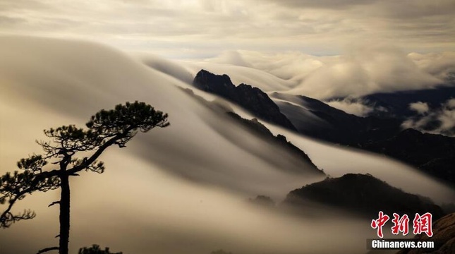 雨后黄山现罕见“瀑布流云” 宛如水墨画卷 第1页