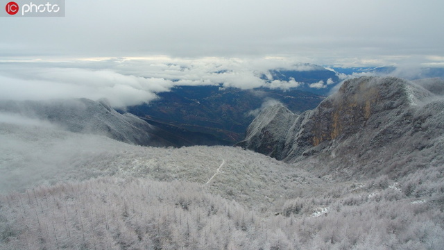 重庆巫山高海拔地区迎来降雪 第1页