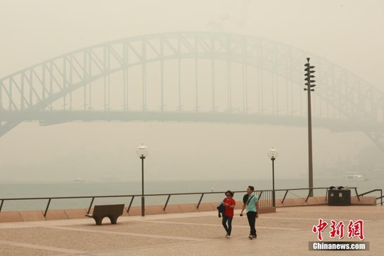 澳大利亚东部山火持续肆虐 悉尼被烟尘笼罩 第1页