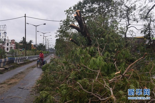 气旋风暴“安攀”已在印度造成至少77人死亡 第1页