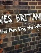 BBC英国蓝调音乐发展史