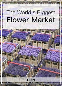世界上最大的鲜花市场