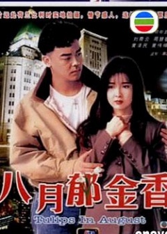 八月鬱金香