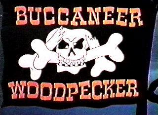BuccaneerWoodpecker