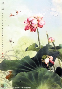 国画荷花