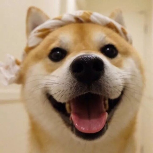 中国石油股票有哪些