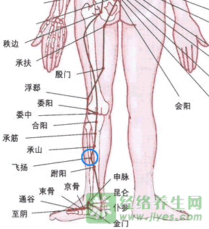 角孙的准确位置图和作用(飞扬穴在什么位置?有什么作用)  第4张