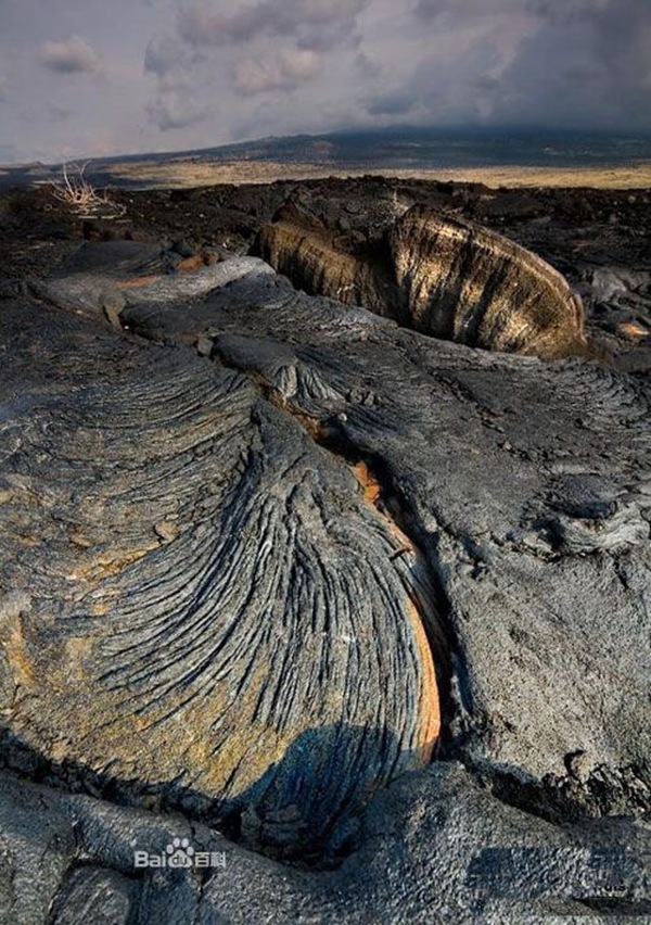 世界最大的活火山在哪?