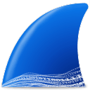 Wireshark v4.2.5绿色便携版