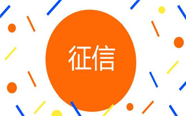个人征信记录报告