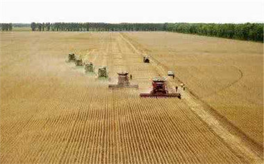 家庭联产承包责任制的特点有哪些