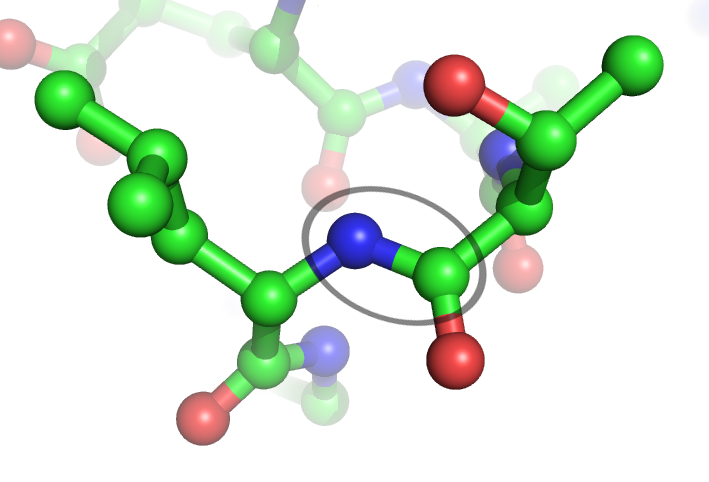 肽 搜狗科学百科