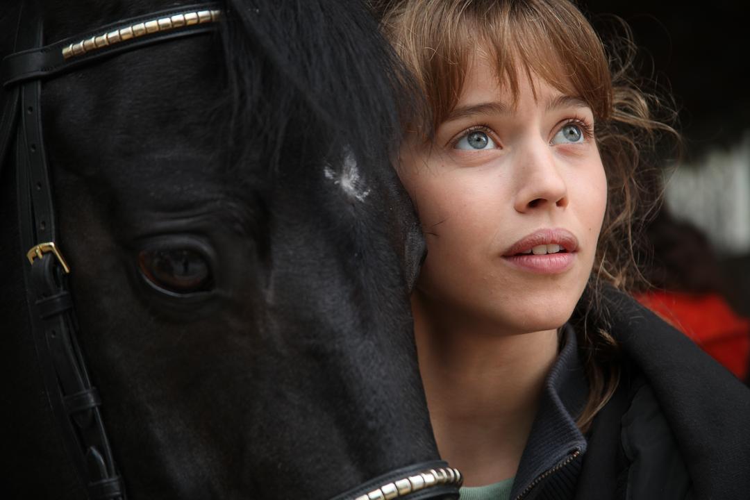 《神驹贾普鲁》-高清电影-完整版在线观看