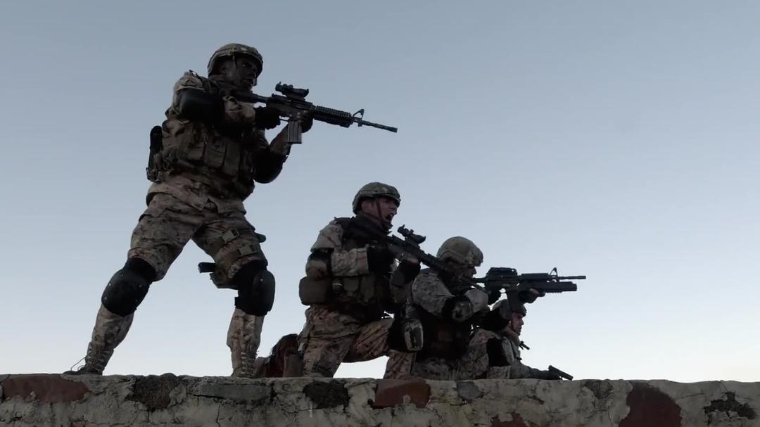 第八海豹突击队:深入敌后