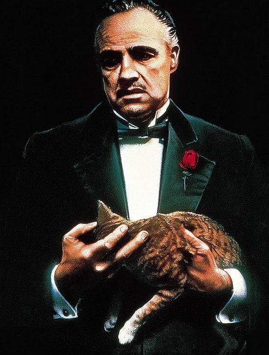 《教父》全集-高清电影完整版-在线观看