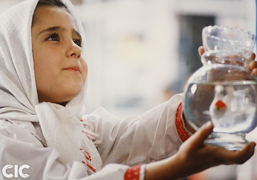 《白气球》全集-高清电影完整版-在线观看