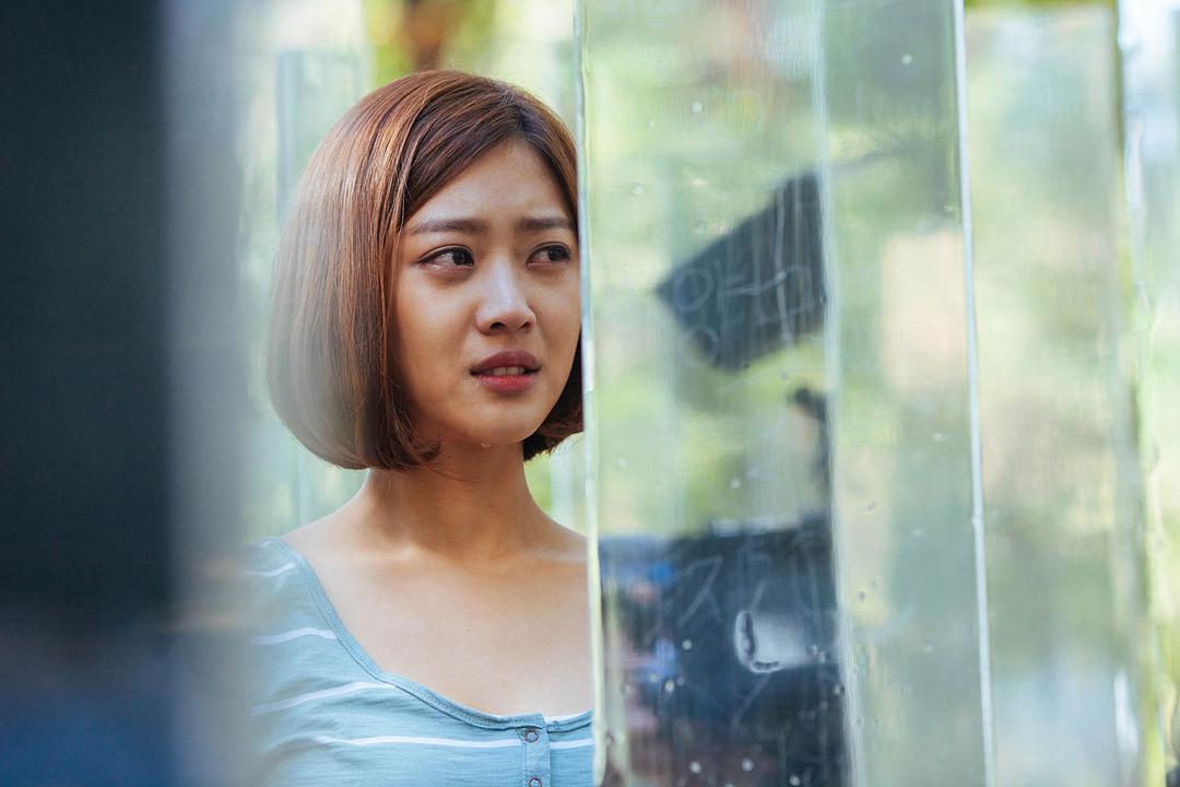 《荆棘(2014)》全集-高清电影完整版-在线观看