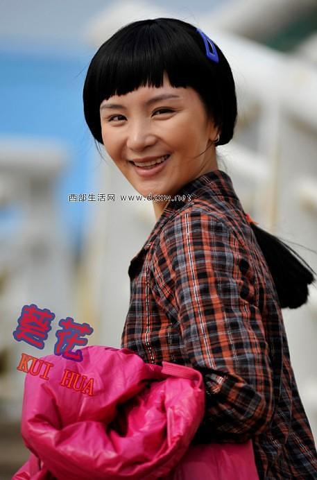 《葵花进城》全集