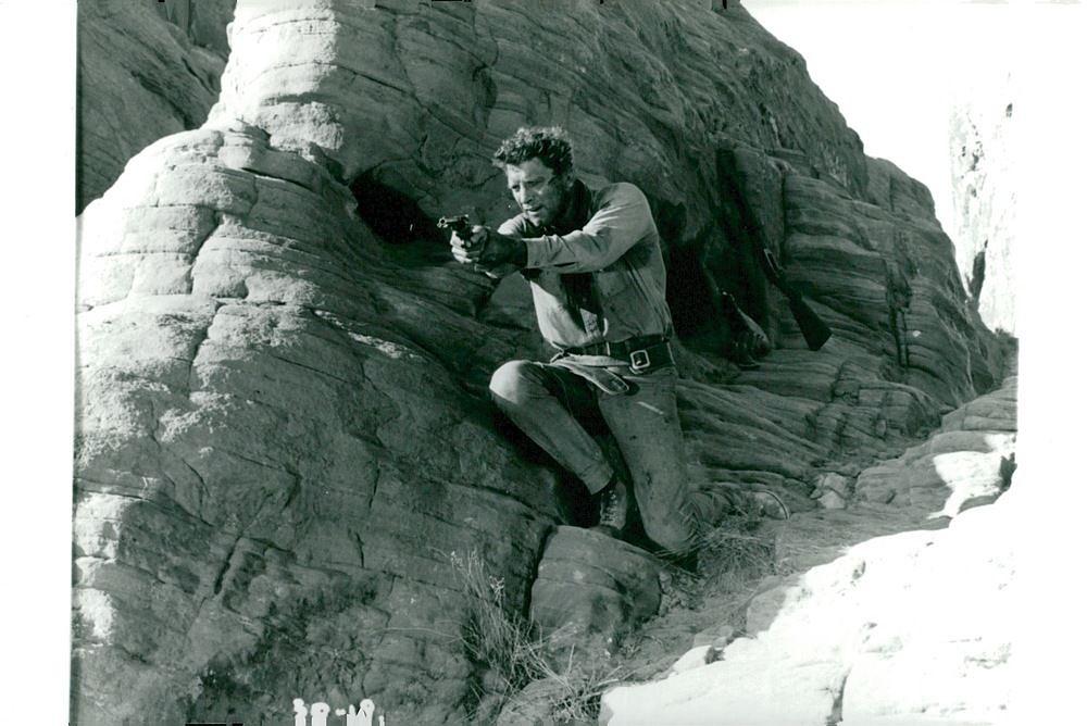 《职业大贼》全集-高清电影完整版-在线观看