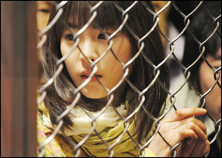 2008恋歌电影图片