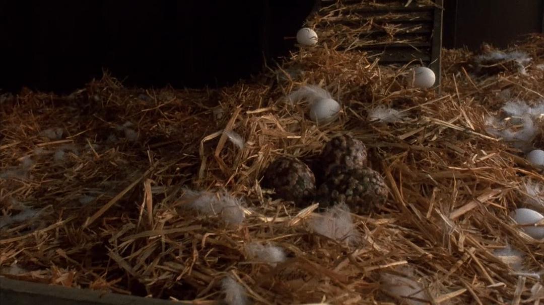 《魔精》-高清电影-完整版在线观看