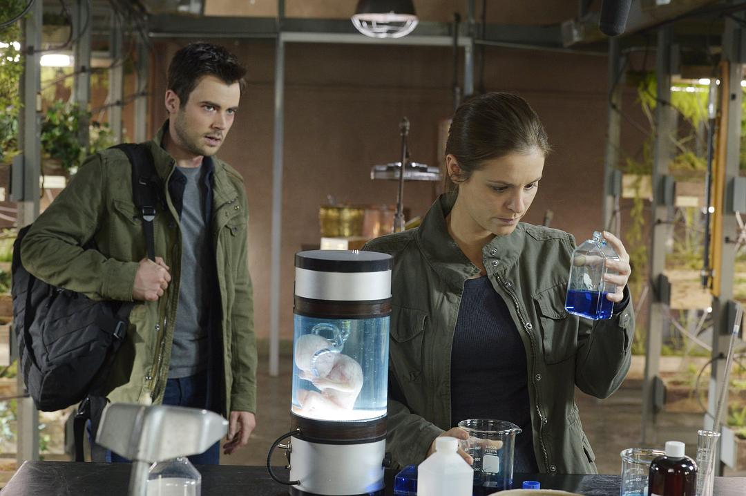 《双螺旋第二季》全集-电视剧-在线观看