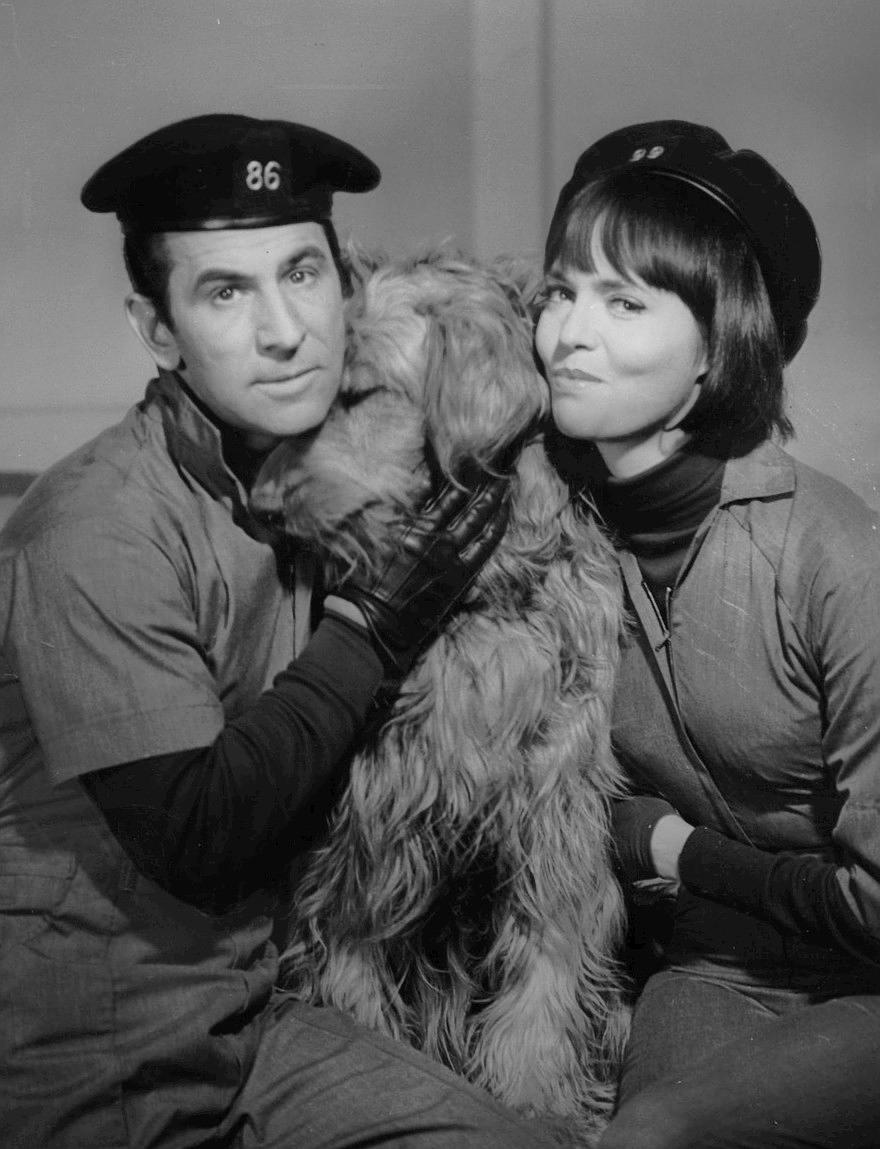 糊涂侦探 第一季