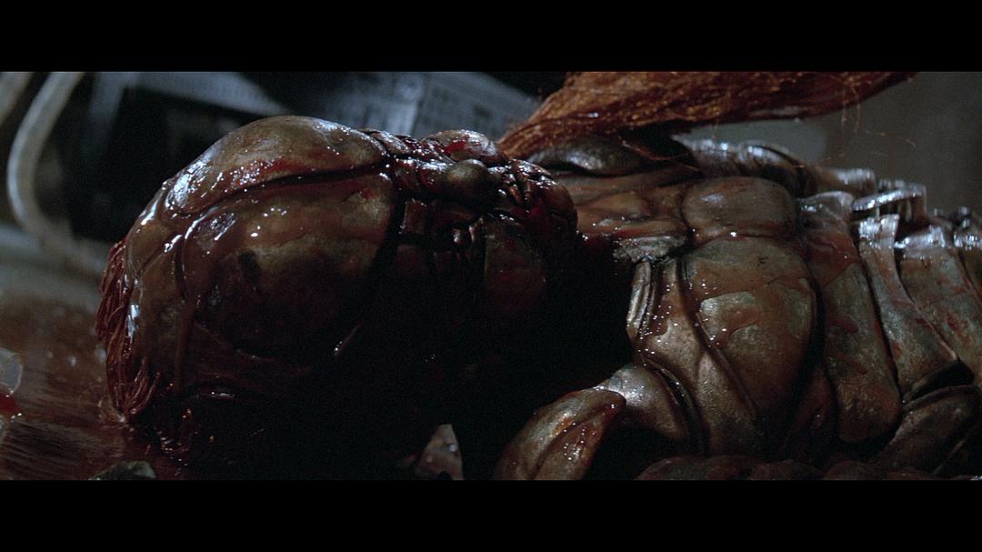 《魔种》-高清电影-在线观看