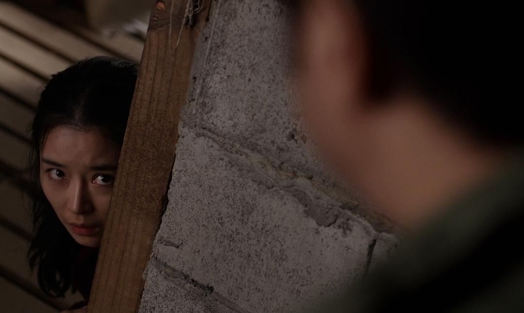 《陷阱》-高清电影-在线观看