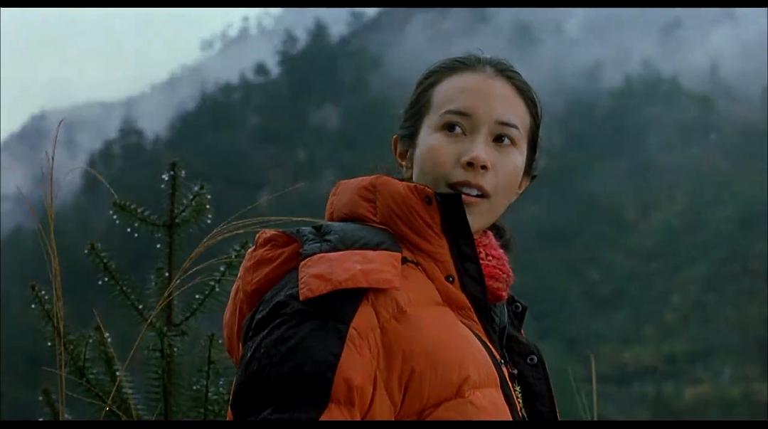 《极地营救》全集-高清电影完整版-在线观看