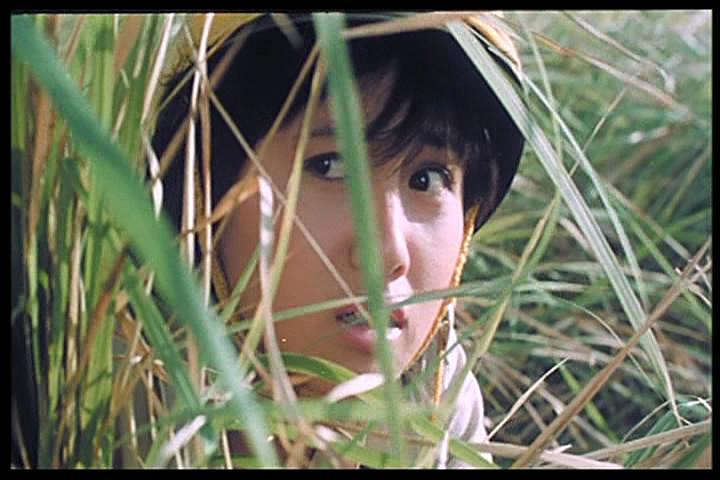 《开心乐园》-高清电影-在线观看