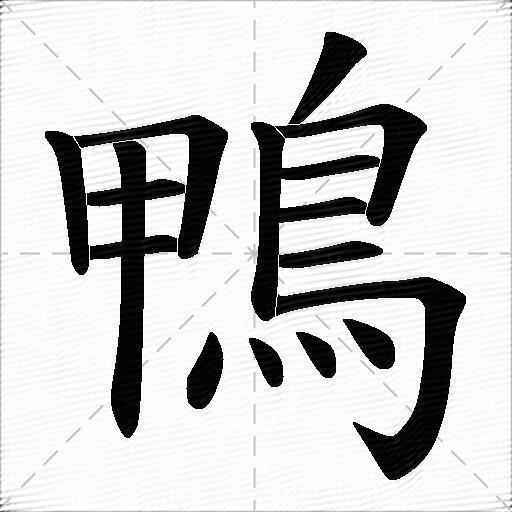 鴨字拼音:yā鴨字部首:鳥鴨字五笔:lwvo鴨字笔画:16鴨字笔顺:竖,横折