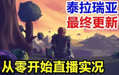 Steam下的泰拉瑞亚 搜狗搜索