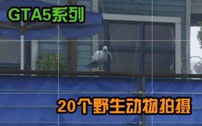 Gta5野生动物在哪 搜狗搜索