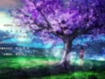花物语 全集 动漫 免费在线观看