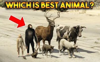 Gta5有多少种动物 搜狗搜索