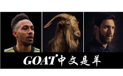 Goat是什么动物 搜狗搜索