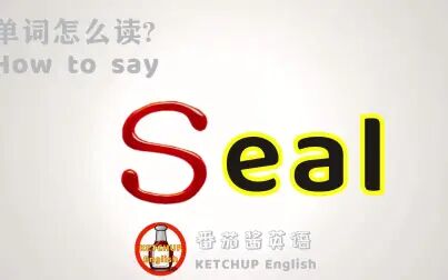 Seal海豹英语发音 搜狗搜索