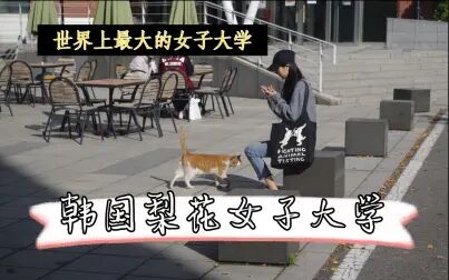 韩国梨花女子大学世界排名 搜狗搜索