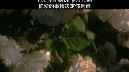 Taylor Swift有哲理的话 搜狗搜索