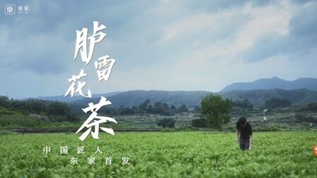 《传家》全集-电视剧-免费在线观看