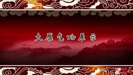 13大雁气功
